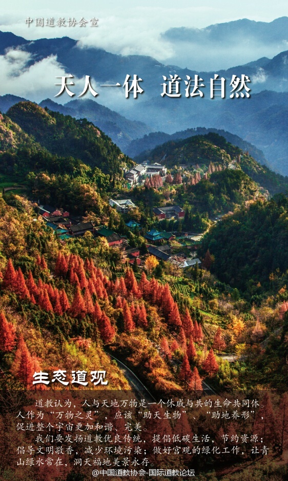 在新春佳节来临之际，中国道教协会印制了“文明敬香、合理放生、建设生态道观”宣传海报和宣传册，发放给全国各地道观